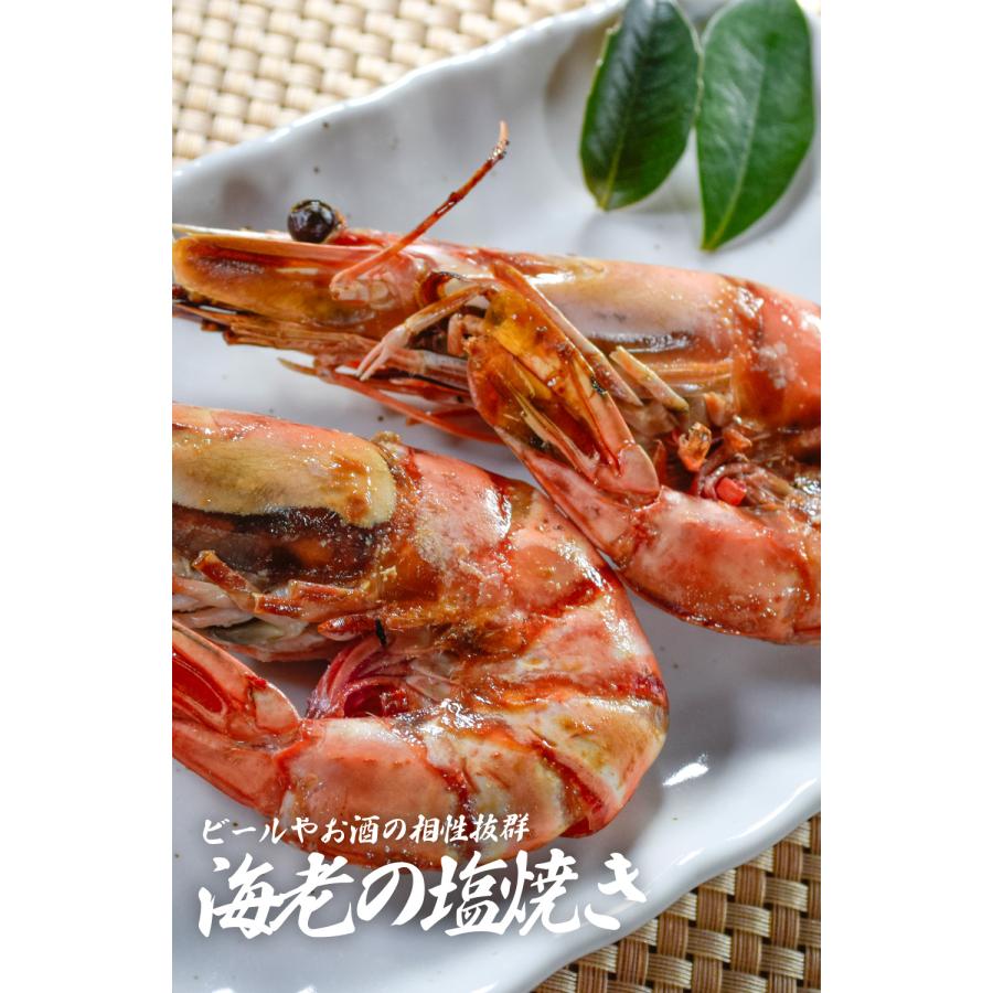 有頭ブラックタイガー 500g (約10尾) 1尾当たり18〜19cm 特大サイズ エビ 専門店・料亭の味 業務用 お徳用 送料無料