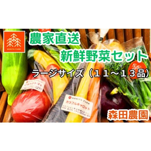 ふるさと納税 千葉県 流山市 農家直送新鮮野菜セット（ラージ）１１〜１３品