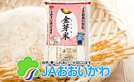 静岡県産　JAおおいがわ金芽米15kg（5kg×3袋・無洗米）