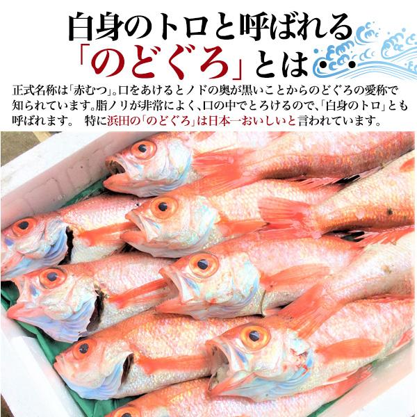 国産 のどぐろ 干物 3尾入り 高級干物 Cセット (6種13枚 詰め合わせ)  ノドグロ アマダイ カレイ アジ カマス スルメイカ 山陰浜田直送 熨斗対応可 冷凍配送