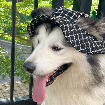 狗狗貓咪可愛耳朵帽子漁夫帽調節防曬遮陽超萌防勒耳寵物裝飾用品