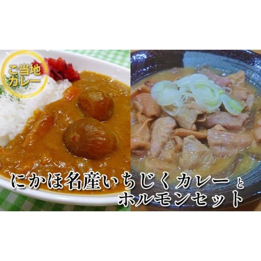 ふるさと納税 秋田県 にかほ市 《ダイニングぶなの森オリジナル》いちじくカレーとホルモン煮込みのレトルトセット（各1個 計2個）