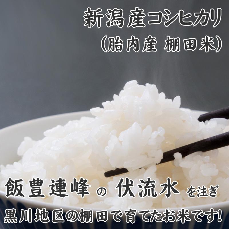 稀少米 新潟産コシヒカリ 300g(2合)×10袋セット