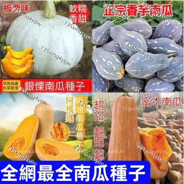 🌱現貨 南瓜種子 （50粒）奶油南瓜 香芋南瓜 蜜本南瓜 蔬菜種子 大量批發 四季陽台庭院盆栽地栽種植 種子丟土裡就能活