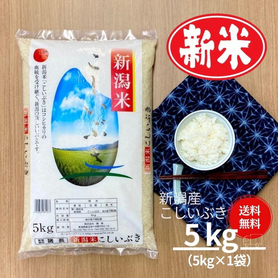 新米 米 お米 5kg セール こしいぶき 新潟産 本州送料無料 令和5年産