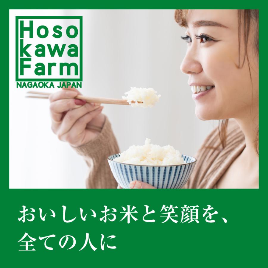 お米 ごはん白米 無洗米 5kg 5キロ 新潟県産 コシヒカリ こしひかり 令和5年産