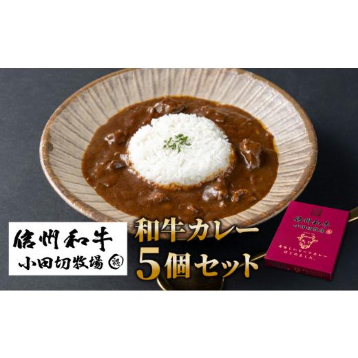 ふるさと納税 長野県 東御市 信州プレミアム牛使用「信州和牛カレー」５個セット（１個1人前160g）