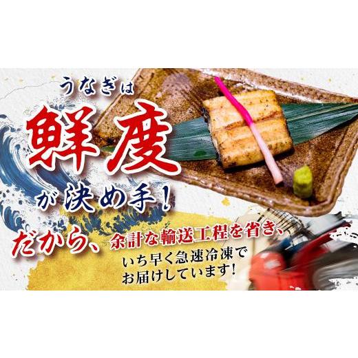 ふるさと納税 鹿児島県 大崎町 鹿児島県産うなぎカット白焼き6袋 計300g以上（パック個包装）