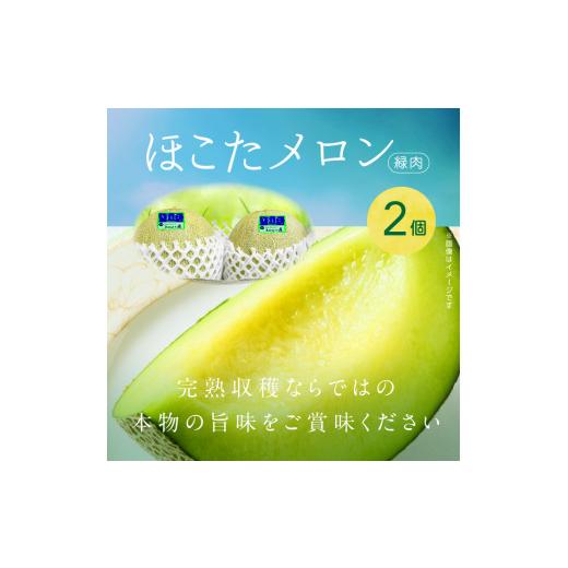 ふるさと納税 茨城県 鉾田市 完熟収穫ならではの旨味「ほこたメロン／緑肉」1箱（2個入）