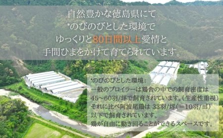 阿波尾鶏骨つき地鶏のごちそうカレー ５人前セット