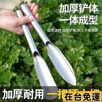 🌱台灣出庫🌱 一體不銹鋼剷子園藝種花種菜工具挖土挖野菜鐵剷文創其他文化用品 DLZC