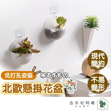 【台灣現貨-免運】壁掛花盆 迷你花盆 免釘無痕 插花瓶 懸掛花盆 掛壁盆栽 收納盒 多肉植物花盆 簡約北歐 廁所壁掛花盆