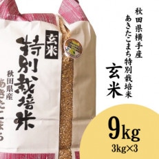 秋田県横手産あきたこまち 特別栽培米 玄米 9kg (3kg×3袋)