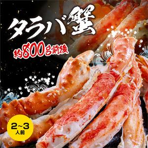 ふるさと納税 カジマ×ますよね！ 特大 ボイル 本たらばがに 4L （800g 解凍後600g前後） タラバガニ タラバ蟹 たらば かに かに肩 蟹肩 肩 .. 茨城県大洗町