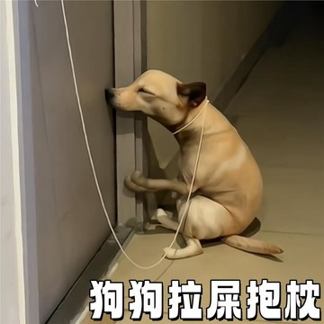 ⏳臺灣特售⏳狗狗拉屎抱枕搞怪拉屎小狗玩偶趣味抽象嗯嗯造型公仔送朋友抱枕 嗯嗯小狗 嗯嗯狗