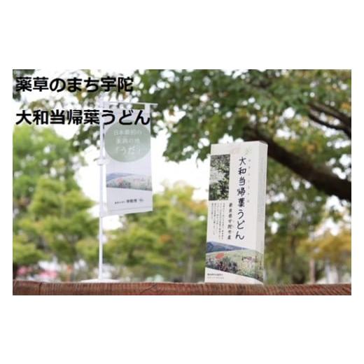 ふるさと納税 奈良県 宇陀市 薬草のまち宇陀　大和当帰葉うどん 5個／薬草　大和当帰葉　うどん　２食分　５個　奈良県　宇陀市