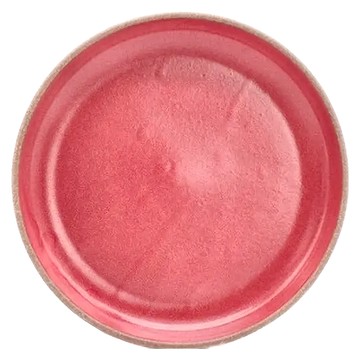 美濃燒CHIPS BRICKS點心盤小皿 紅色  1個