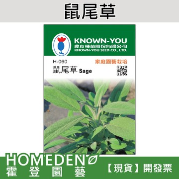 【隔日到貨】鼠尾草 H-060 香草種子 農友牌 小包裝種子 約70粒/包【HOMEDEN霍登園藝】