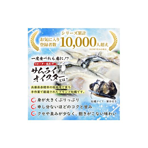 ふるさと納税 兵庫県 赤穂市 牡蠣 生食 坂越かき むき身 500g(サムライオイスター) 生牡蠣 冬牡蠣