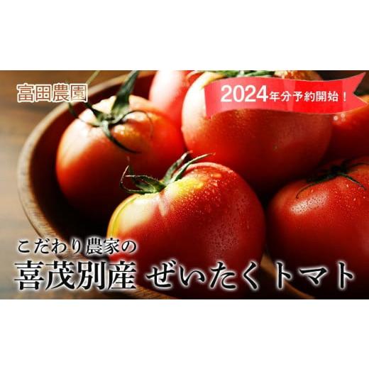 ふるさと納税 北海道 喜茂別町 2024年受付開始！こだわり農家の 喜茂別産 ぜいたくトマト