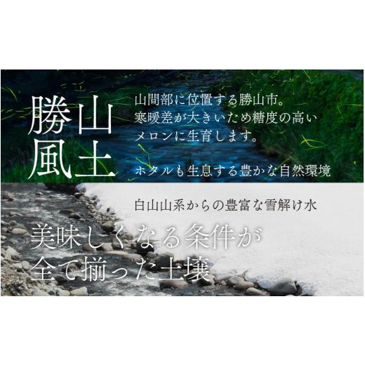 ふるさと納税 福井県 勝山市 勝山産アールスメロン1個入り化粧箱（赤肉） [A-060002]