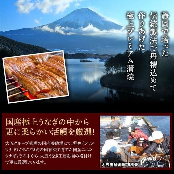 国産うなぎ長蒲焼 大サイズ3尾セット ご家庭用 うなぎ ウナギ 鰻 蒲焼 3人前 お取り寄せ グルメ 食べ物 簡易箱 送料無料