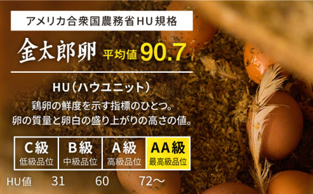 金太郎卵 平飼い たまご 60個（6個×10パック）＜有限会社 フジノ香花園＞那珂川市 卵  たまご 平飼い 卵かけご飯[GAM004]