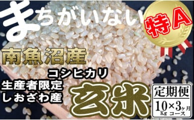 玄米 生産者限定 南魚沼しおざわ産コシヒカリ10Kg×3ヶ月