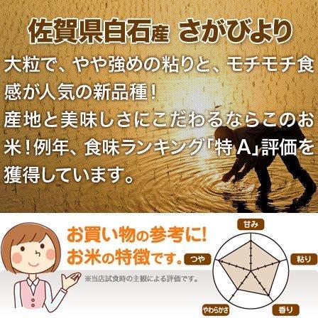 佐賀県産 さがびより 白米 10kg (5kg×2袋) 令和4年産