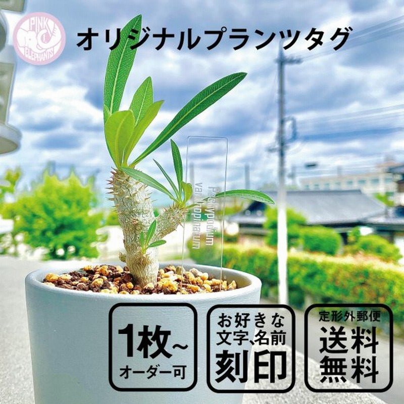 オリジナルプランツタグ 植物ネームプレート 園芸ラベル ガーデニングラベル 植物タグ 通販 Lineポイント最大get Lineショッピング