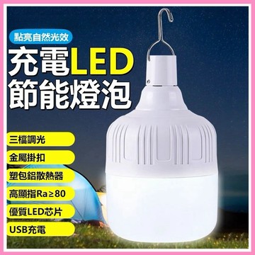 隔日現貨🔥擺攤燈 白光燈泡 戶外露營燈 LED燈泡 夜市地攤燈 超亮夜市燈 停電應急燈 市場燈 節能燈 USB燈泡