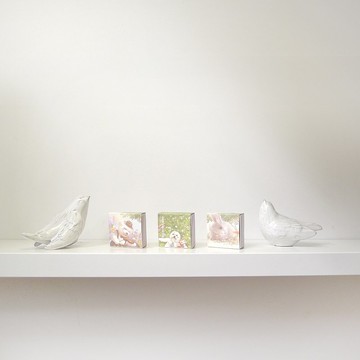 笑容狗狗小提琴手原創紙膠帶 - 夢幻花園系列手帳裝飾文具