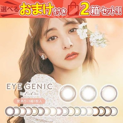 カラコン 1ヶ月 アイジェニック バイ エバーカラー (2箱2枚/度あり) ナチュラル 両眼対応 1ヶ月分 1month/マンスリー 新木優子14.5m 14.2mm