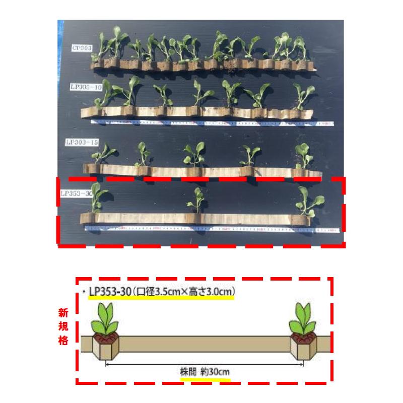 ニッテン　ロングピッチチェーンポット　LP353-30　径3.5cm×高3cm　株間30cm　穴数190　お得なケース販売60冊入り　キャベツ ブロッコリー等対応可能