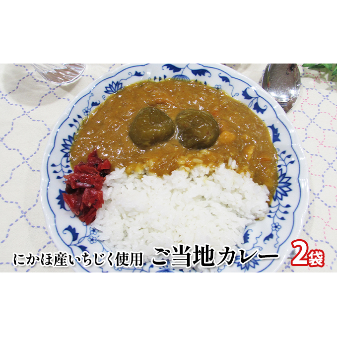 ご当地カレー《ダイニングぶなの森オリジナル》にかほ名産 フルーティーないちじくのカレー（レトルト）220g×2個