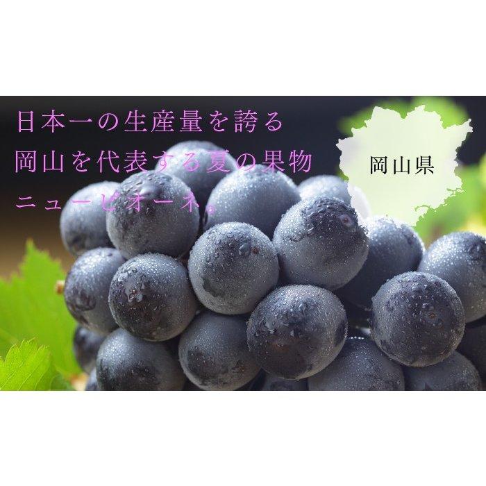 ぶどう ニューピオーネ 摘み落とし 青秀 200g x 6パック 岡山県産 ＪＡおかやま 葡萄 ブドウ