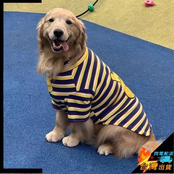 【台灣出貨】寵物衣服 大型犬服飾 大狗衣服 拉布拉多 金毛 阿拉斯加 薩摩耶 帥氣寵物衣服 薄款服裝 狗狗T恤