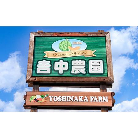 ふるさと納税 北海道 富良野産 朝穫り 白い とうもろこし 10本入り (吉中農園) 北海道富良野市