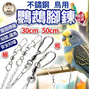 不鏽鋼鳥用鸚鵡腳鍊【布萊恩👨🏻隔日到貨】鳥鍊子 遛鳥鍊 鳥用牽繩 鳥用外出鍊子 鳥牽繩 鸚鵡腳鍊 鴿子腳鍊 鳥腳鍊