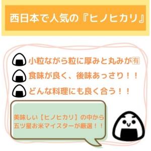 ふるさと納税 CI343_ヒノヒカリ白米５ｋｇ 佐賀県みやき町