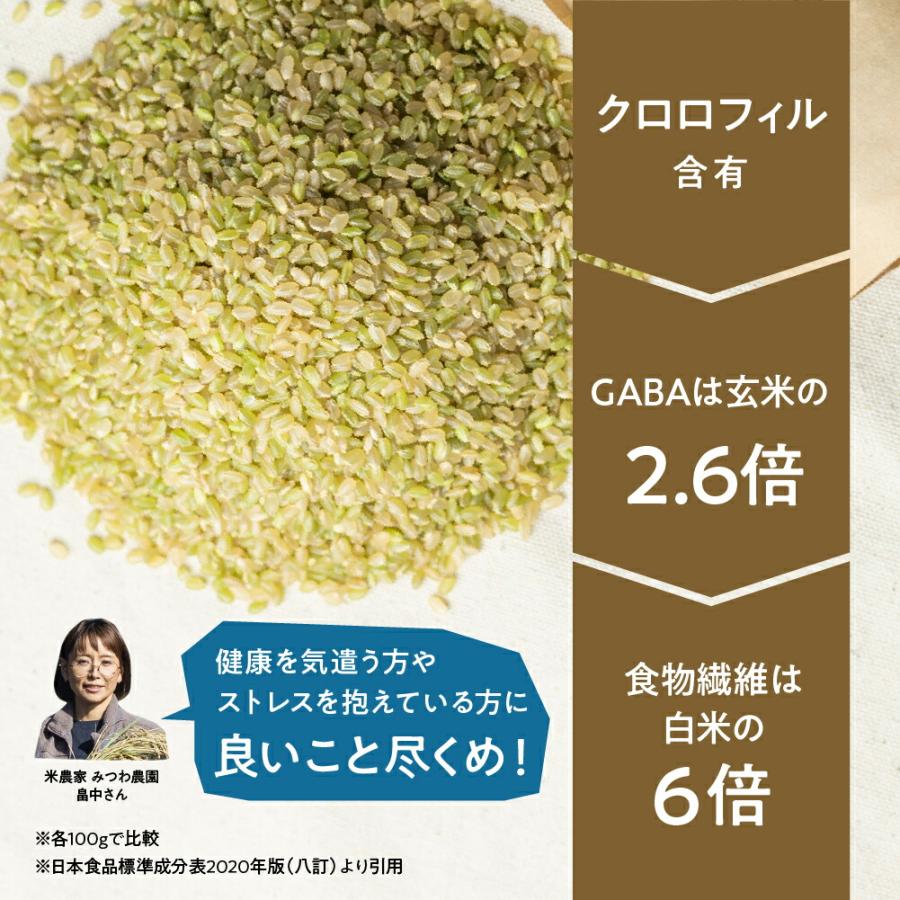 令和5年産 新米 金賞農家の飛騨産 若玄米 緑色玄米 青米 2.7kg 900g×3袋 青玄米 青の玄米 玄米 健康米 飛騨の米 米 みつわ農園 農家直送 送料無料