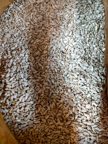 【拼圖貓】 - 飼料用瓜子仁真空分裝包 米磚真空包