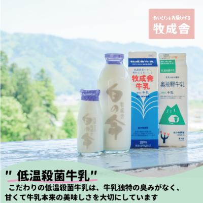 ふるさと納税 飛騨市 飛騨の牛乳屋・牧成舎の飛騨産生乳100%使用!低温殺菌牛乳3本のむヨーグルト2本