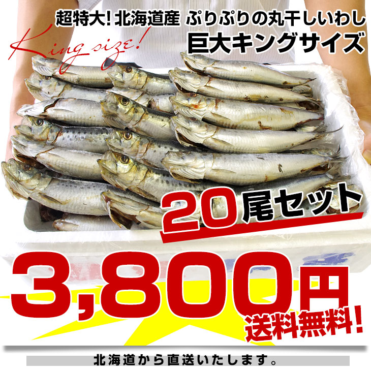 北海道より直送 北海道産 超特大いわし丸干し 巨大キングサイズ 20尾セット 2キロ （1尾100g以上×20尾） 送料無料 ※クール冷凍便