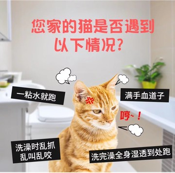 洗貓籠防抓咬吹干貓咪洗澡神器外出車載固定貓咪用品家用貓籠子