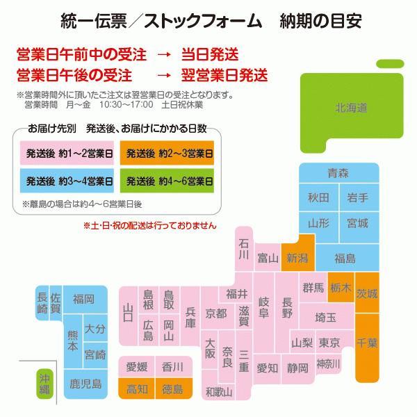 ストックフォーム 15×11インチ 2枚複写 2P 黒発光 無地 1,000枚 箱