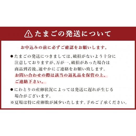 ふるさと納税 福岡県 嘉麻市 鶏卵 30ヶ入×6回 合計180個 たまご 福岡県産