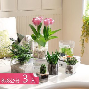【荷生活】透明高圓水培植物PET材質花瓶 經久耐用防摔簡易高透園藝花瓶-8x8公分-3入組