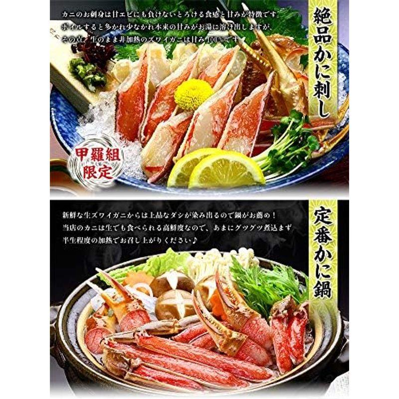 甲羅組 お刺身ＯＫ カット生ずわい蟹 500g (総重量約700g) カニ かに 蟹