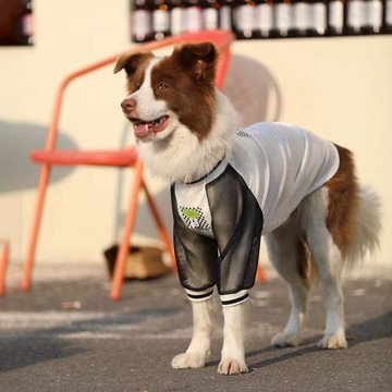 💕在臺出貨🔥狗狗衣服夏季大型犬薄款網眼衣服金毛拉布拉多邊牧防掉毛大狗衣服